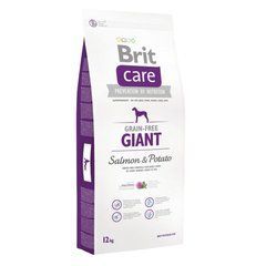 Сухий корм для дорослих собак гігантських порід (вагою від 45 кг) Brit Care GF Giant Salmon & Potato 12 кг (лосось та картопля)