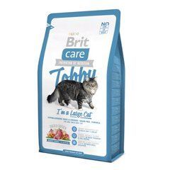 Сухий корм для котів великих порід Brit Care Cat Tobby I am a Large Cat 2 кг (качка та курка)